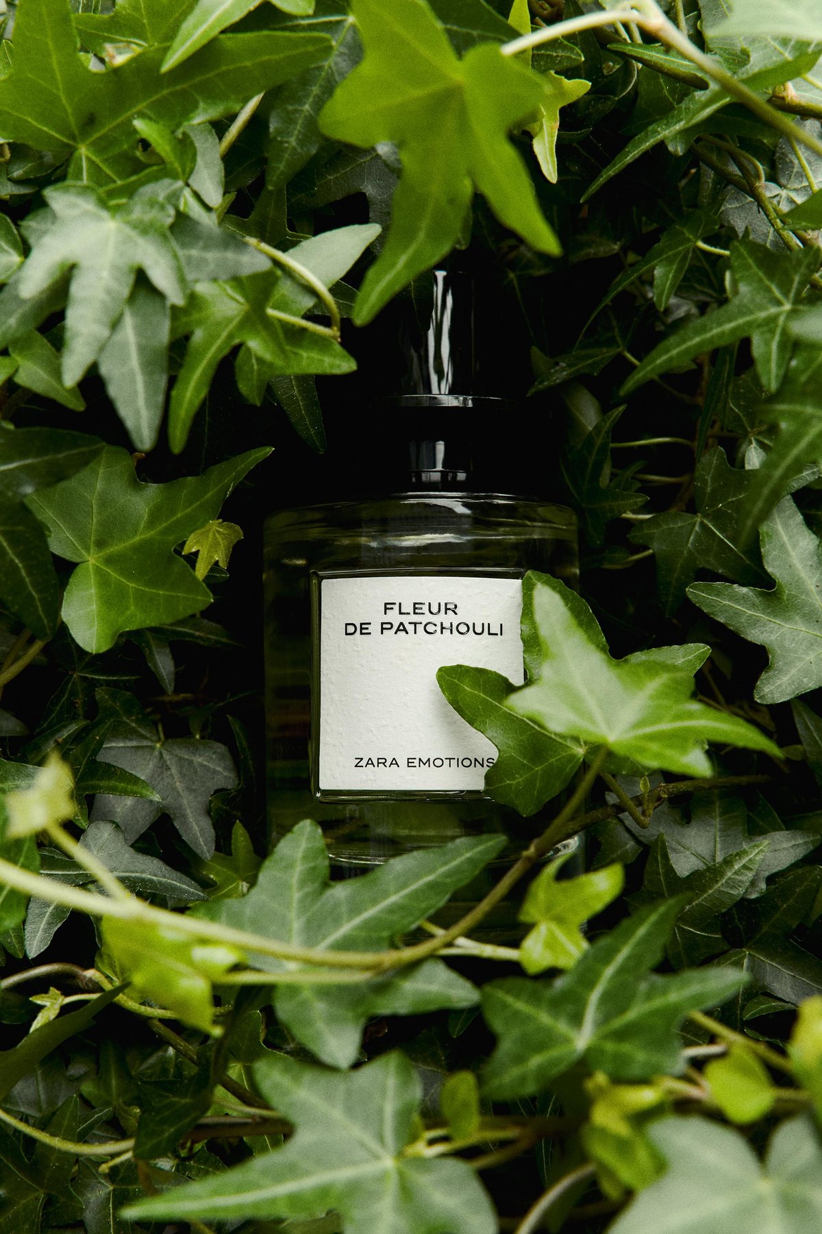 Zara Fleur de Patchouli Review: Jo Malone’s Earthy Floral Masterpiece - Product Image