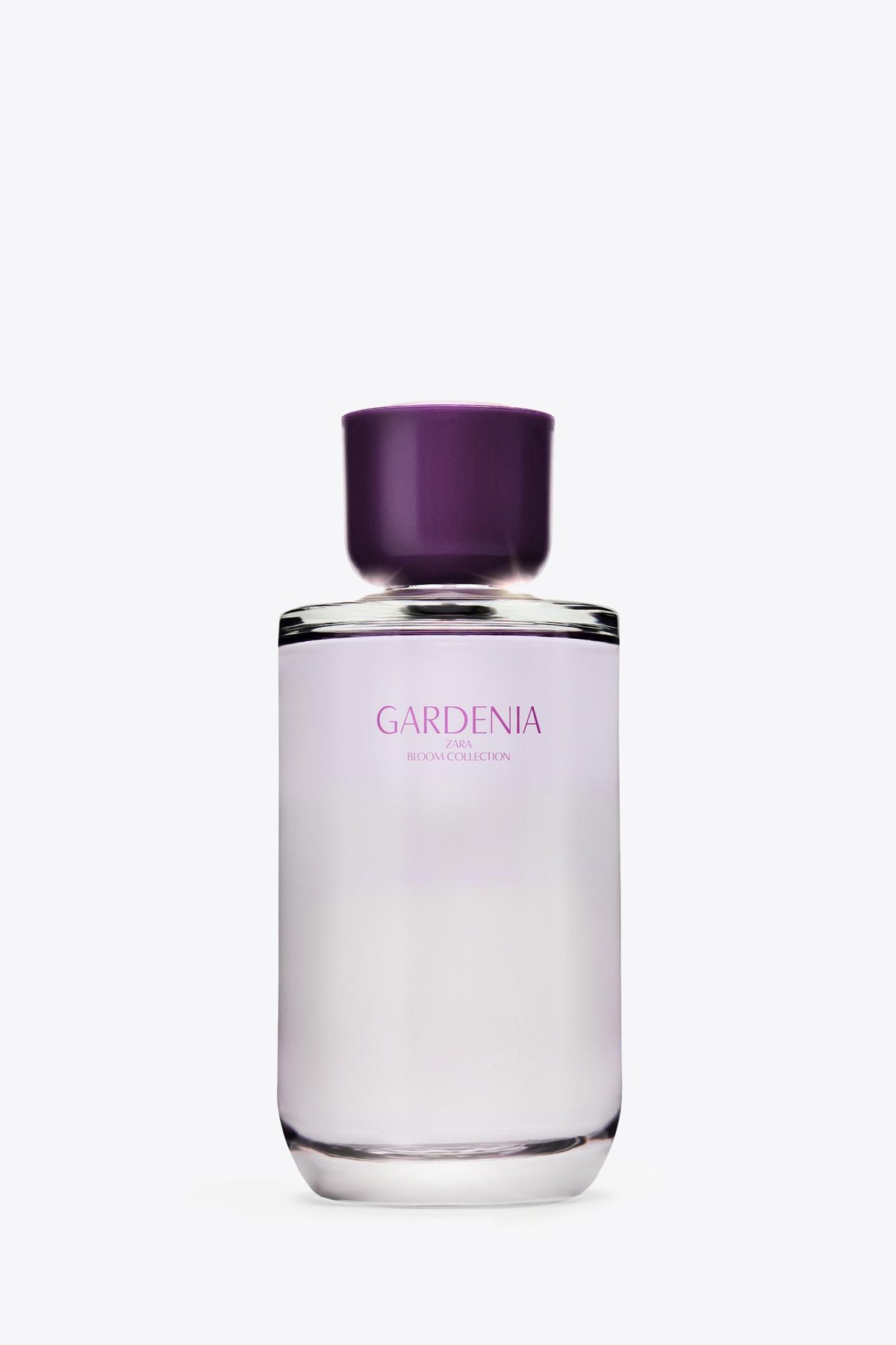 Zara Gardenia 2017 Review: Your Affordable Dose of Modern Floral Sweetness - Product Image