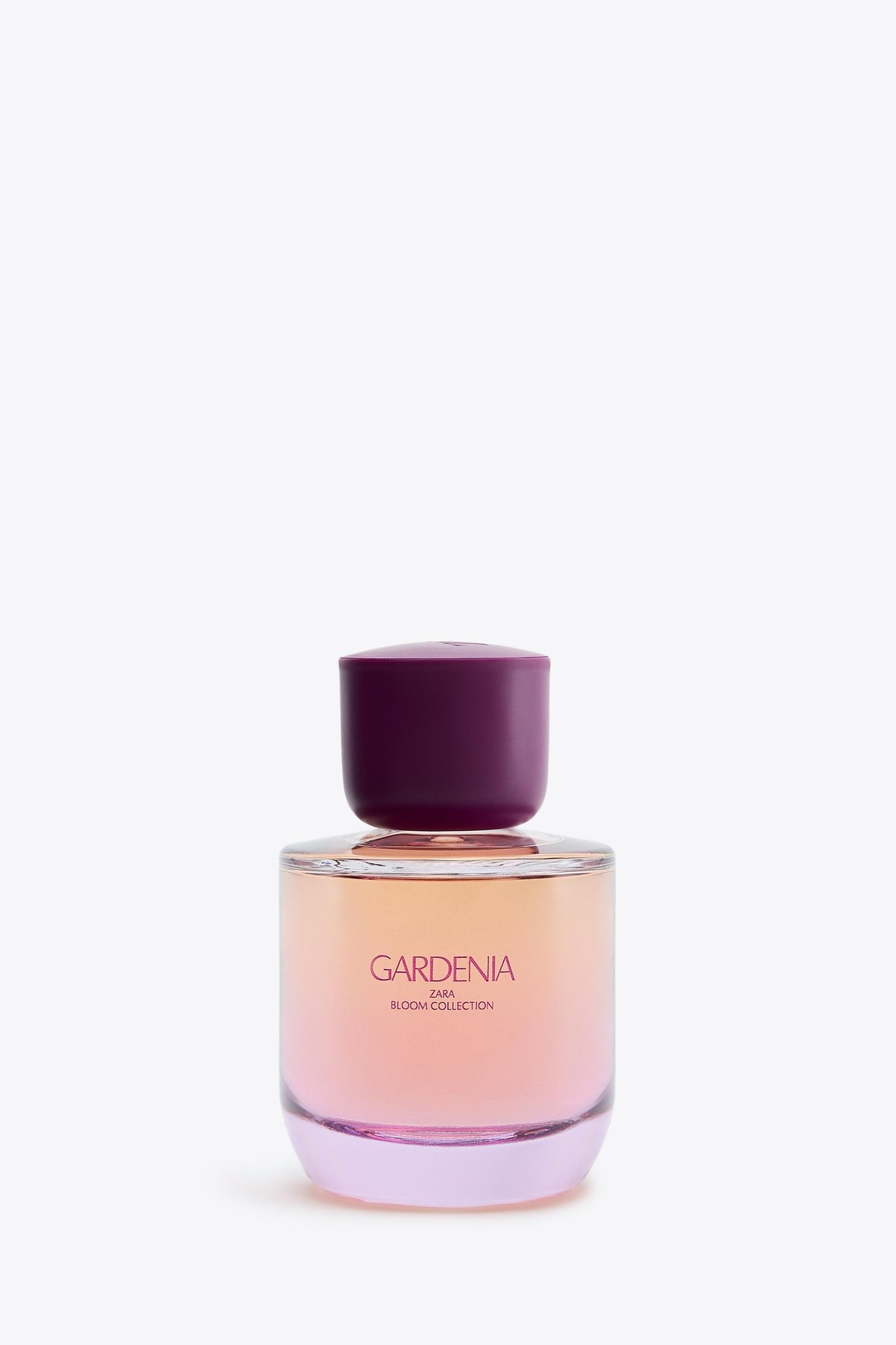 Zara Gardenia 2021 Review: Smart Buy or Skip? - Product Image