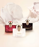 Splendida Patchouli Tentation