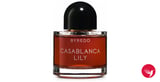 Casablanca Lily 2025