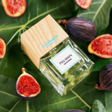 Fig Man