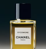Sycomore