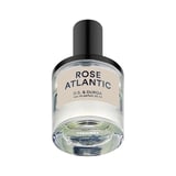 Rose Atlantic (Predecessor)