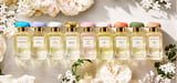 Aerin Lauder Collection