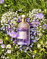 Maison Guerlain Collection