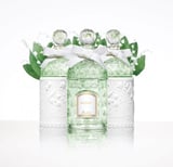 Muguet 2014