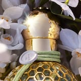 Nerolia Vetiver