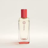 Hermès Terre d’Hermès (earthy vetiver-orange)