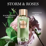 Absolue Storm & Roses