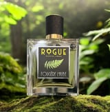 Fougère l'Aube
