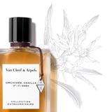 Van Cleef & Arpels Orchidee Vanille