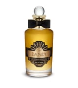 The Dandy