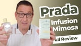 Infusion de Mimosa