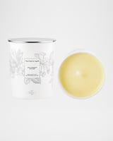 Les Mimosas d'Hiver
