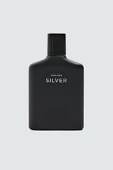 Zara Man Silver