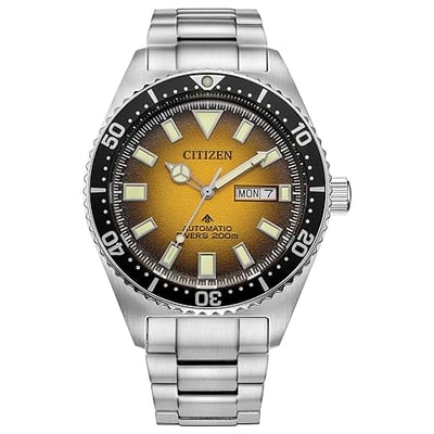 Citizen Promaster NY0121