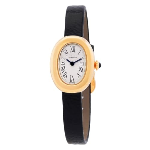 Cartier Baignoire WGBA0042 Review: Oval Elegance Redefined