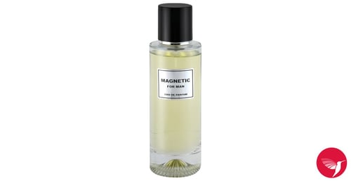 ArôMatics Magnetic Review: A 2025 Aromatic Milestone