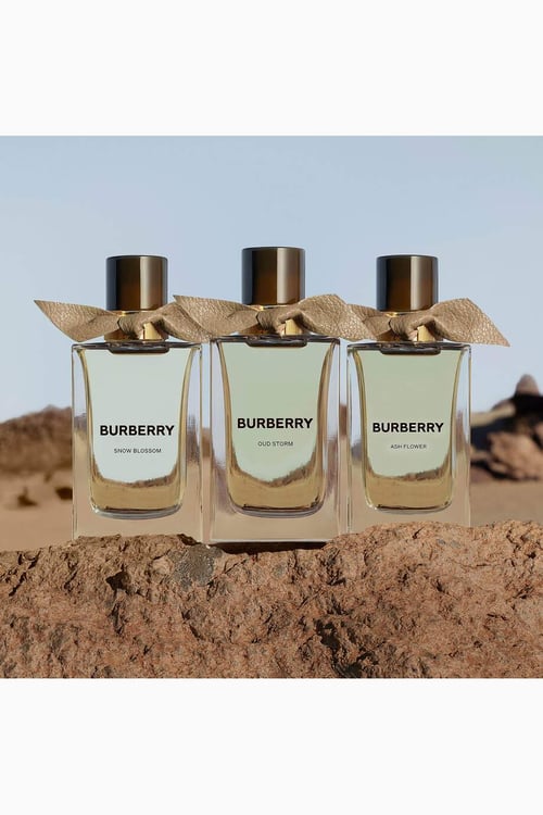 Burberry Oud Storm EDP Review: A Modern Oud Masterpiece
