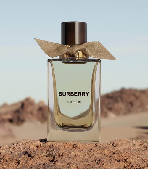 Burberry Storm Review: A Deep Dive into Burberry's 2023 Release