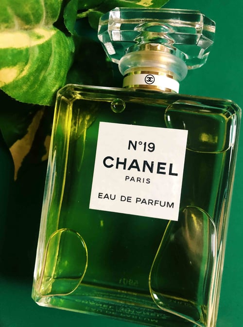 Chanel No. 19 EDP Review: The Iridescent Green Masterpiece