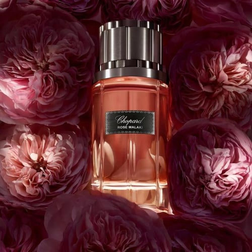 Chopard Rose Malaki: A Deep Dive into Floral Elegance