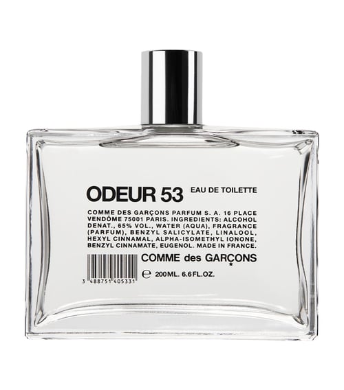 Comme des Garçons Odeur 53 Review: Avant-Garde Scent