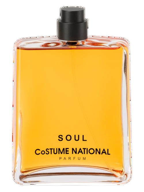 Costume National Soul: A Scholarly Analysis of Ropion's Masterpiece