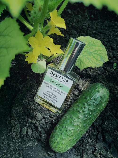 Demeter Kumquat Review: A Zesty Citrus Burst