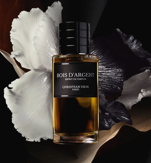 Dior Bois D'Argent Review: The Ethereal Silver Veil of Luxury