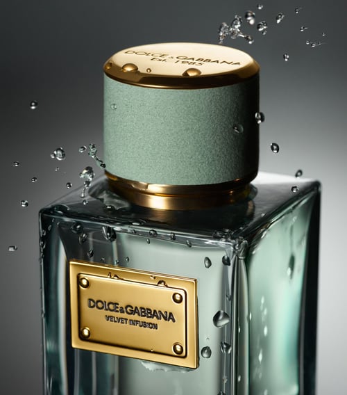 Dolce & Gabbana The One Velvet Infusion — Dolce & Gabbana Velvet Infusion: The Ultimate Tea Scent