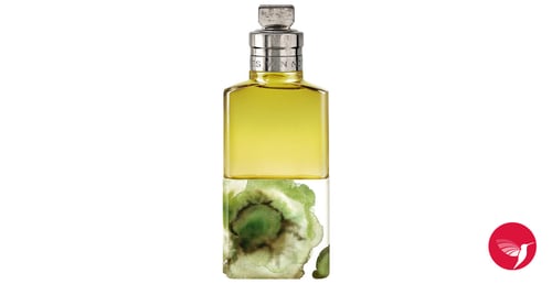 Vanille Camouflage by Dries Van Noten: A Woody-Vanilla Masterpiece