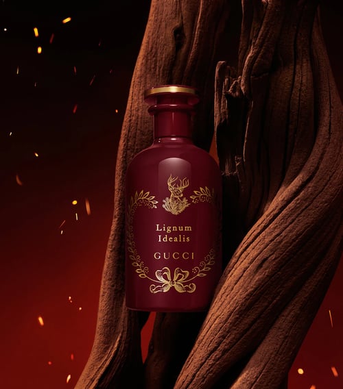 Gucci Lignum Idealis Review: A Smoky Woody Statement