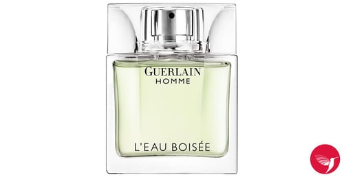 Guerlain Homme L'Eau Boisée Review: A Fresh Woody Classic