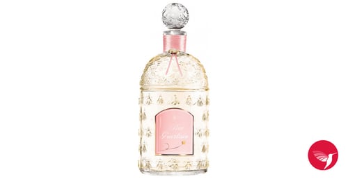 Guerlain Petit Guerlain Rose Review: A Soft Floral Lullaby