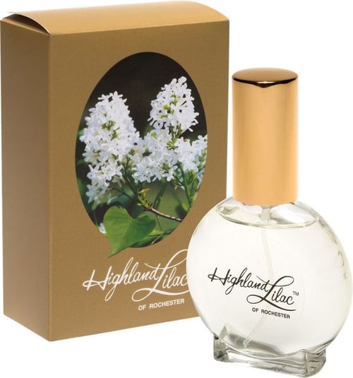 Highland Lilac of Rochester Review: A Timeless Spring Classic