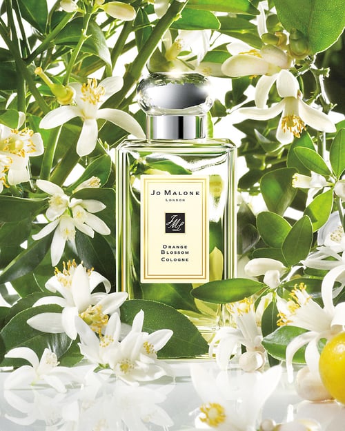 Jo Malone London Orange Blossom: A Citrus Floral Masterpiece