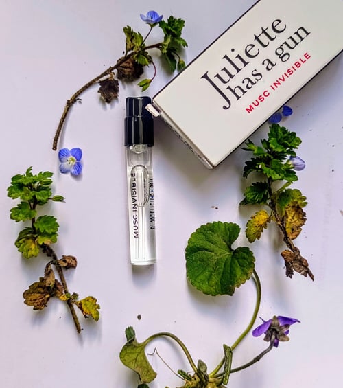 Musc Invisible: A Study in Minimalist Olfactory Elegance