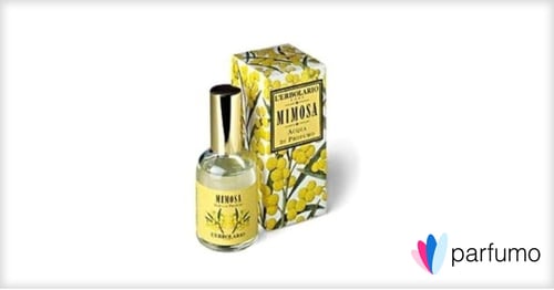 L'Erbolario Mimosa Review: A Delicate Floral