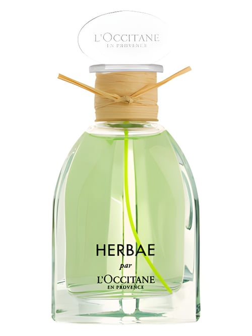 L'Occitane en Provence Herbae Review: Green Freshness