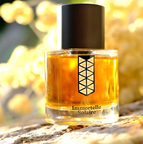 Hermès Bel Ami – A Leather‑Centred Chypre for the Modern Gentleman