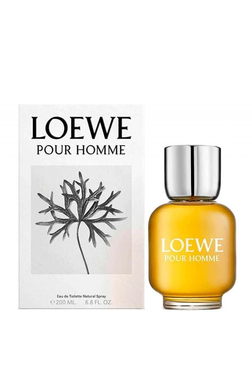 Loewe Pour Homme Review: The Timeless Spanish Classic