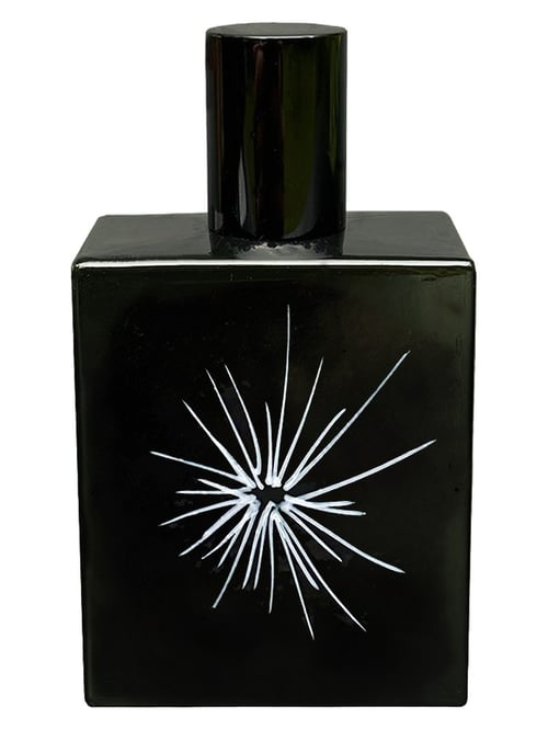 Review: Marc-Antoine Barrois B87135 X-ray by Quentin Bisch