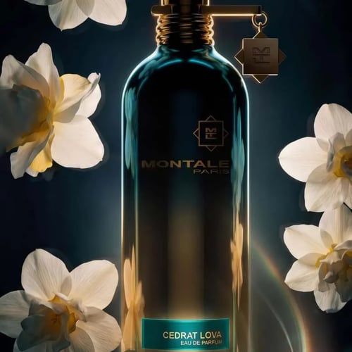 Montale Cedrat Lova Review: A 2026 Citrus Tobacco Oud