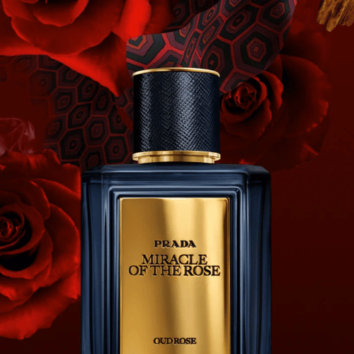 Prada Miracle of the Rose Review: A Sublime Oud Rose