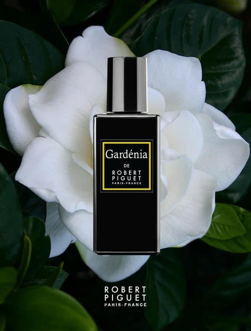 Robert Piguet Gardenia Review: A Modern White Floral with Leather Edge
