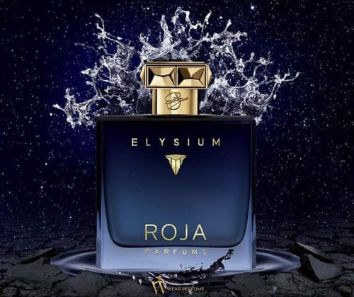 Roja Parfums Elixir Pour Homme Review: A Masterpiece of Amber-Woody Luxury