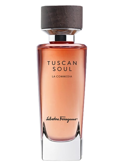 Salvatore Ferragamo La Commedia Review: A Niche Masterpiece?