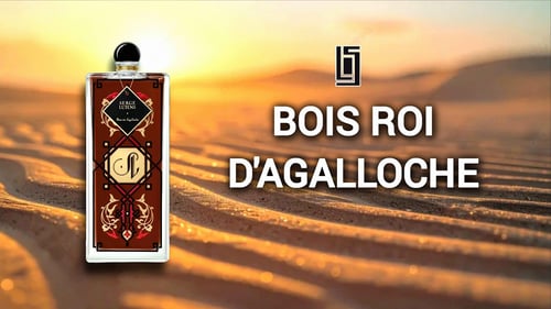 Serge Lutens Oud Review: Devilish Amber-Woody